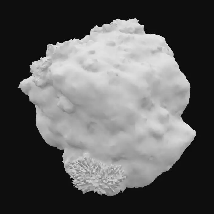 3D model for a realistic underwater rock with barnacles and corals



