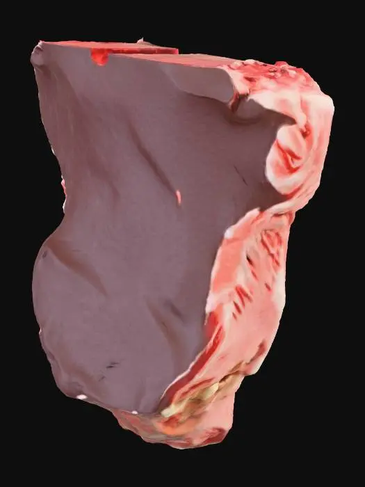 3D model for T-Bone Delight