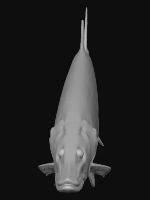 3D model for Northern Pike