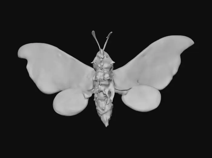 3D model for Final Wars Mothra