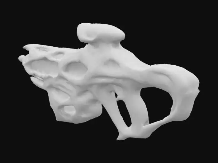 3D model for x-99 vortex