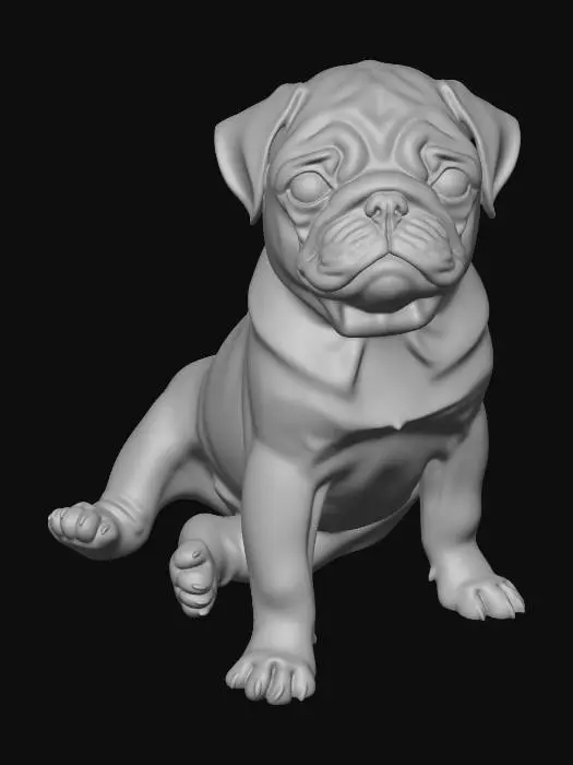 3D model for Curious Pug Puppy