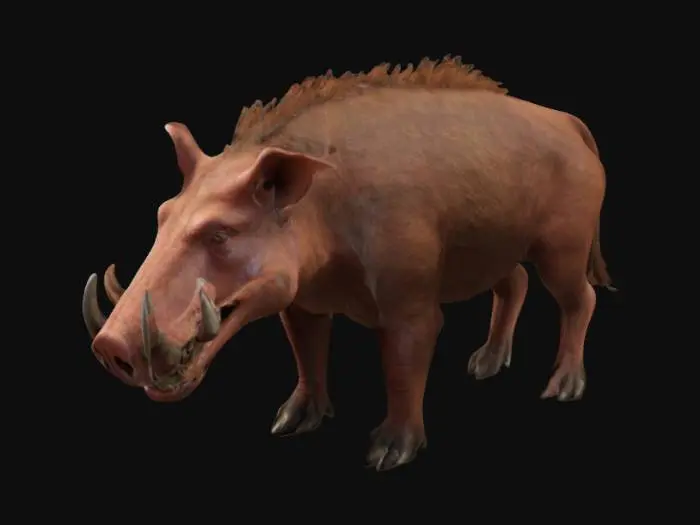 3D model for Daeodon, a gaint prehistoric monster like pig with long jaws full of teeth, pig snout, long leggs and hoves. bronw and redish fur and short tail, high quality, 4k textures, good symethry