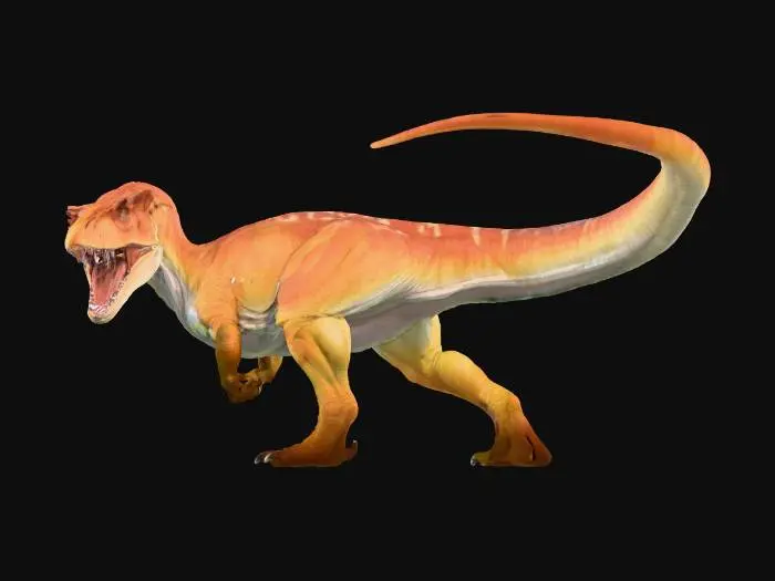 3D model for Allosaurus 