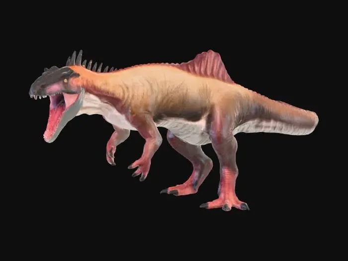 3D model for Sailed Dinosaur