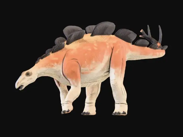 3D model for Wuerhosaurus