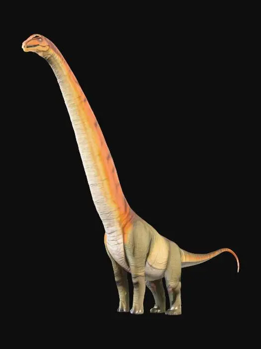 3D model for Argentinosaurus Illustration