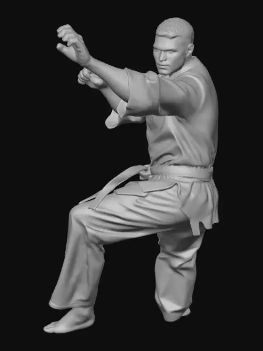 3D model for I want to make a 3d man like karate man like he is fighting with other