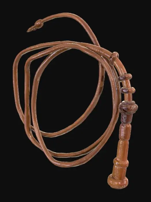 3D model for Whip,Chicote
Contundente
Médio (3–5m)
Couro