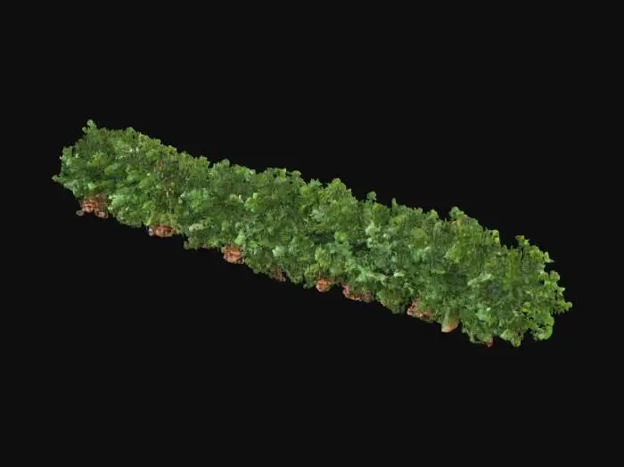 3D model for Evergreen Garland