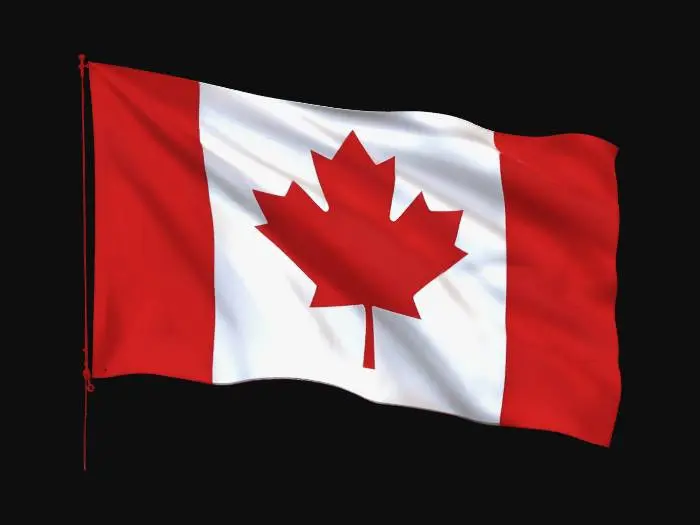 3D model for Which country’s flag should I make next?