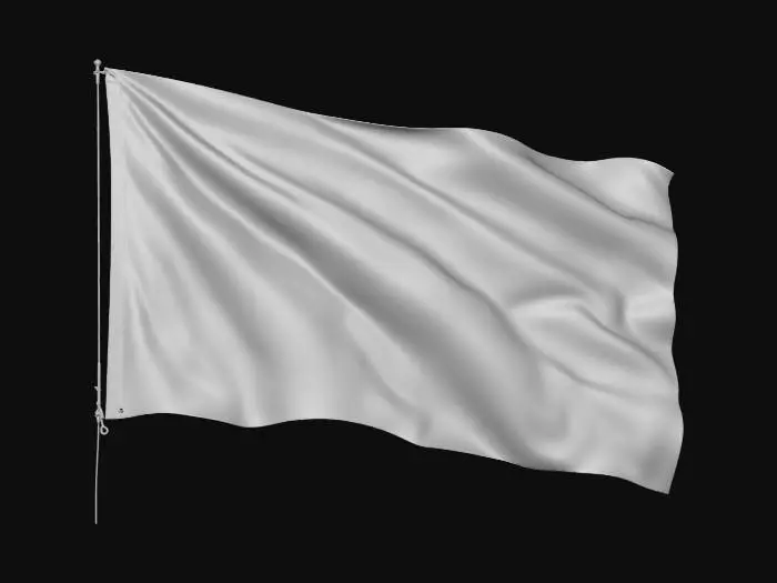 3D model for Which country’s flag should I make next?