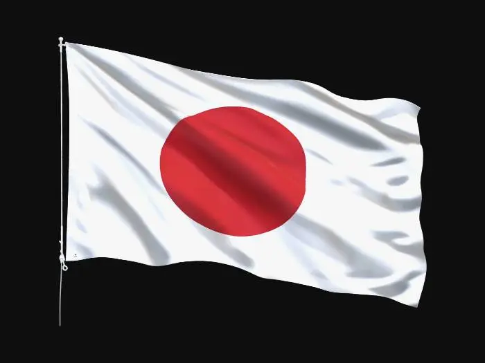 3D model for Which country’s flag should I make next?