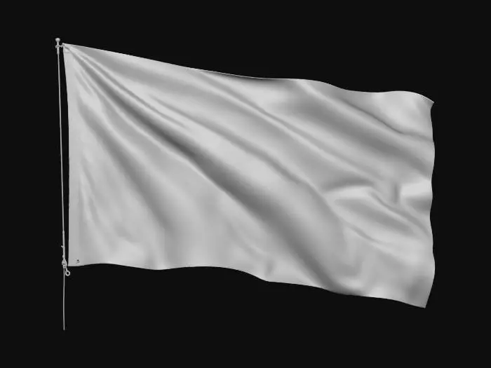 3D model for Which country’s flag should I make next?
