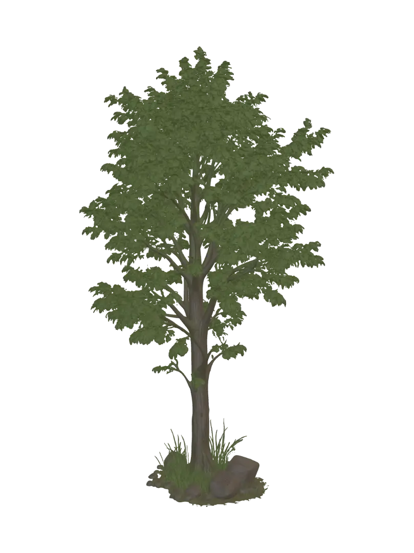 Verdant Tree - Forest AI 생성 3D 모델