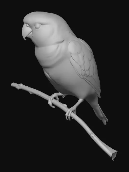 3D model for Papageien  Pfirsichköpfchen