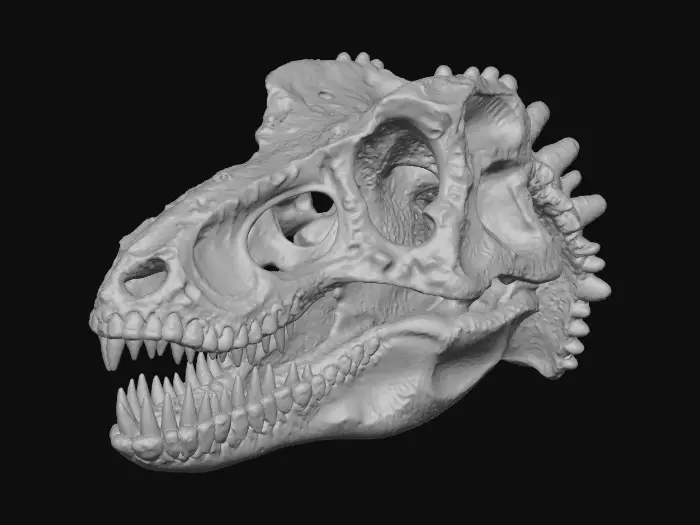 3D model for A realistic Velociraptor dinosaur skull, fossilized into iridescent black opal and labradorite. The bone surface has a rainbow sheen and crystalline textures. Sharp teeth, hollow eye sockets, intricate skeletal details, prehistoric specimen, dark fantasy aesthetic, high-resolution PBR textures, museum-grade display quality.