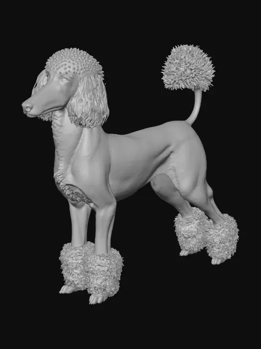 3D model for Create a realistic 3D model of a Standard Poodle with elegant body proportions, long legs, and a proud, upright posture. The dog should have a narrow muzzle, dark intelligent eyes, and long floppy ears covered in dense, curly fur. The coat must be highly detailed with tight curls, volumetric depth, and realistic fur clumping using advanced hair shaders and PBR materials. Ensure accurate muscle structure beneath the fur and smooth deformation zones for animation. The model should be presented in a neutral standing pose, suitable for high-end games, cinematic renders, or realistic simulations.