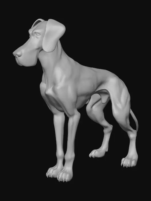 3D model for Create a realistic 3D Great Dane model with an extremely tall, elegant, and muscular build, long legs, deep chest, and narrow waist. The dog should have a noble head shape, long muzzle, expressive eyes, and naturally folded ears. The coat should be very short and smooth, clearly revealing accurate muscle definition and skeletal structure beneath the skin. Use high-resolution PBR textures with subtle color variation (fawn, brindle, black, or harlequin) and realistic skin shading. The model should be properly scaled, posed neutrally, and optimized for animation in cinematic or AAA game environments.