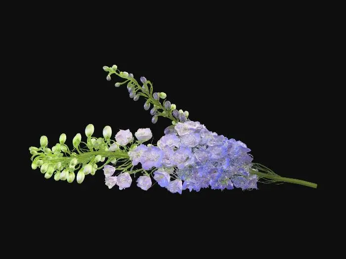 3D model for Purple Delphinium Bouquet