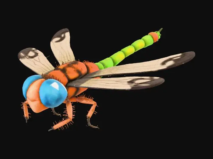 3D model for Colorful Dragonfly