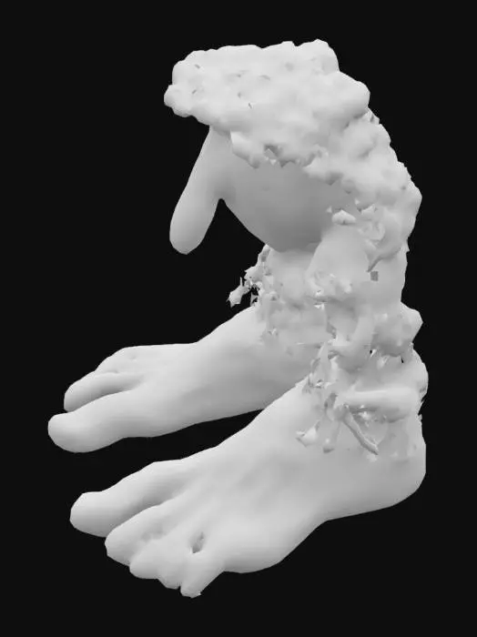 3D model for brr brr patapim