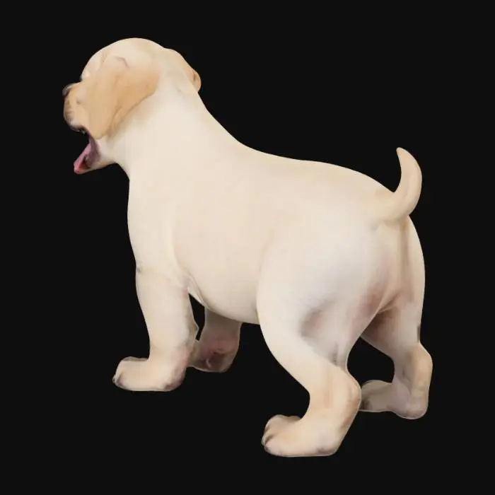 3D model for A Labrador puppy stands with its mouth open