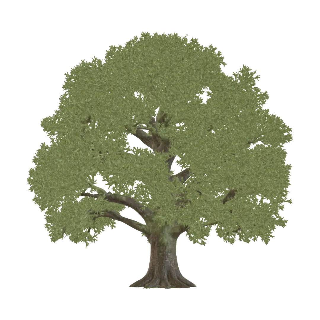 Oak Tree - Forest AI 생성 3D 모델