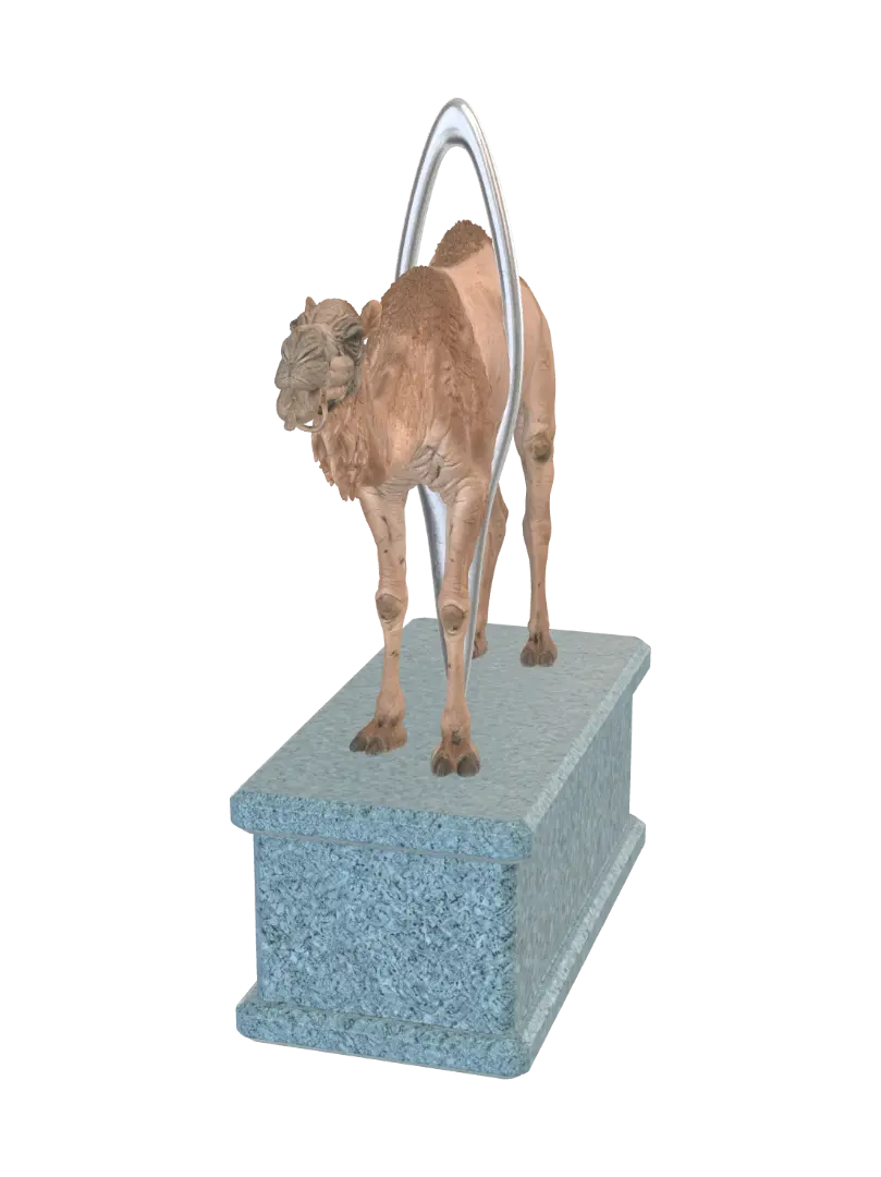 needle
