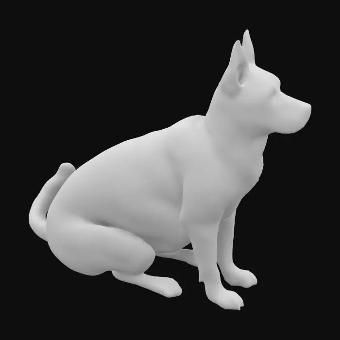 3D model for belgian shepherd sitting down