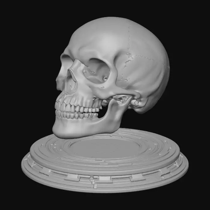 3D model for Nebula Skull