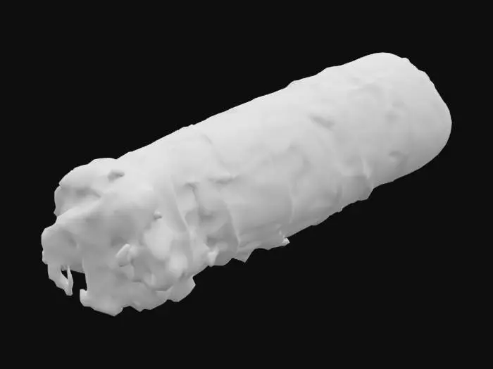 3D model for Burning Sage Bundle