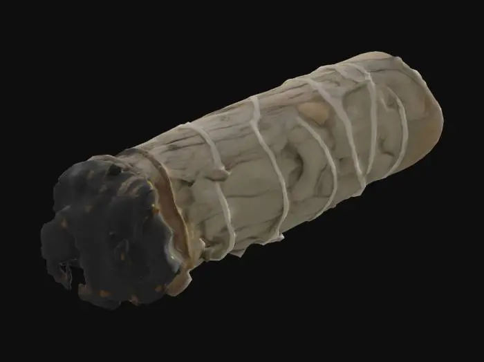 3D model for Burning Sage Bundle