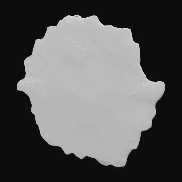 3D model for A prominent, irregular brown water leak stain stretches across a painted plaster ceiling, spreading outward with darker, concentric rings. Its central area is a deep, dehydrated ochre, fading to lighter, rust-toned edges. Around the perimeter, a fuzzy, dark greenish-black mold has bloomed, creating a raised, velvety texture that contrasts with the cracked, flaking paint of the ceiling. The surface appears damp yet dry, with a brittle, peeling quality.