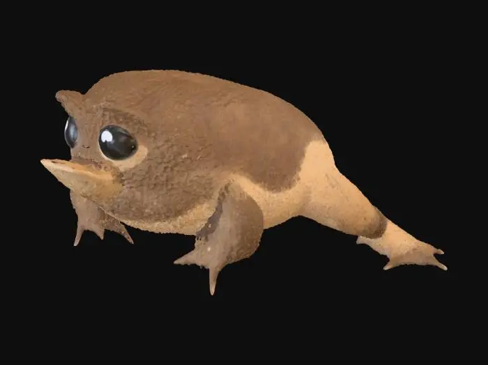 3D model for Toadstool Delight