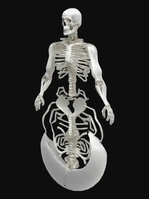 3D model for Bright white, very shiny white organic structure, very clean, with a good shine, white inside and outside, very smooth and blended, simple organized uv map for texturing.