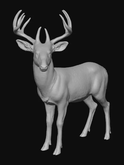 3D model for Photorealistic White Tailed Deer Buck, photorealism