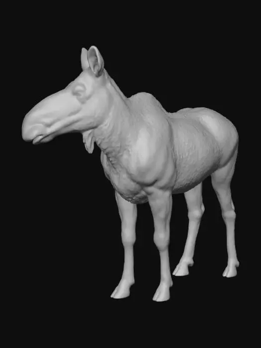 3D model for Photorealistic Female Moose