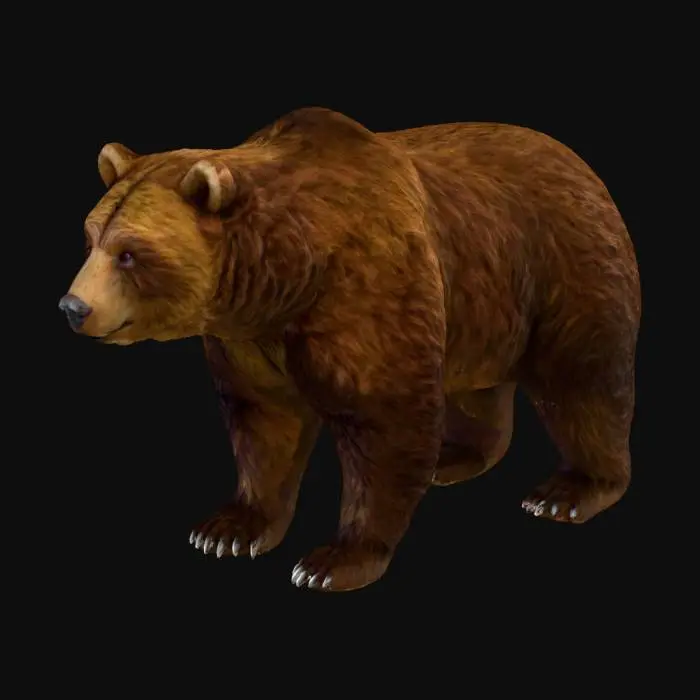 3D model for Realistic Female Brown Bear