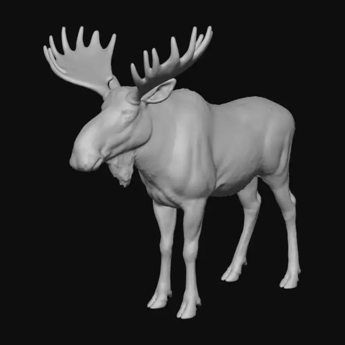 3D model for Photorealistic Male Moose