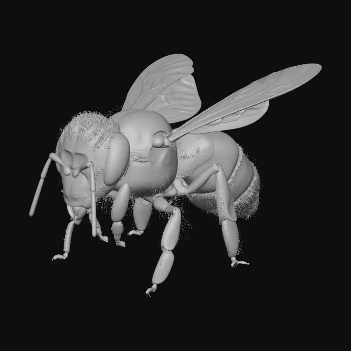 3D model for Honeybee2