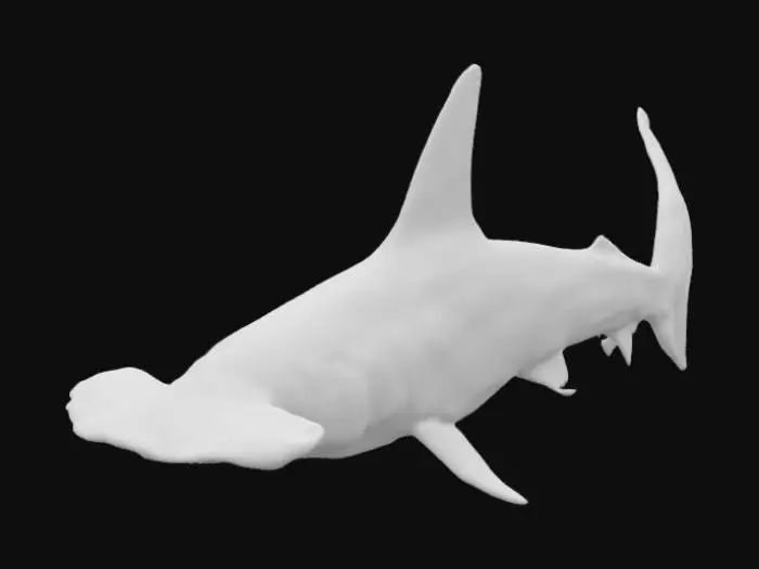 3D model for Massively Intimidating Hammerhead Shark