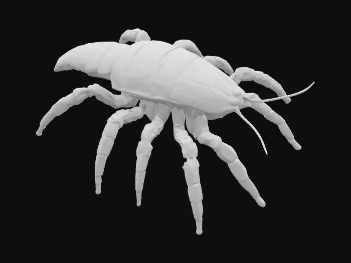 3D model for the perfect organism