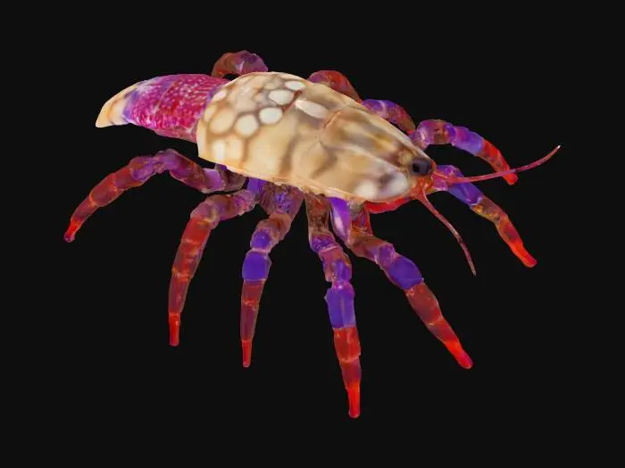 3D model for the perfect organism