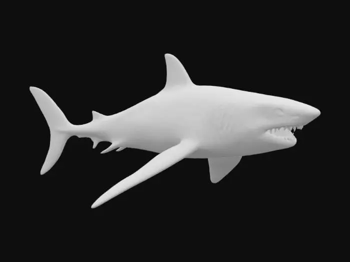 3D model for ferocious shark, Great White shark, 