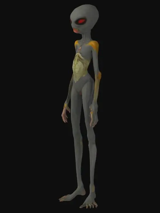 3D model for the perfect organism