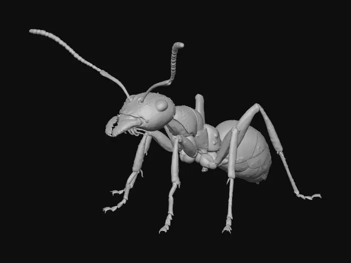 3D model for Crimson Forager