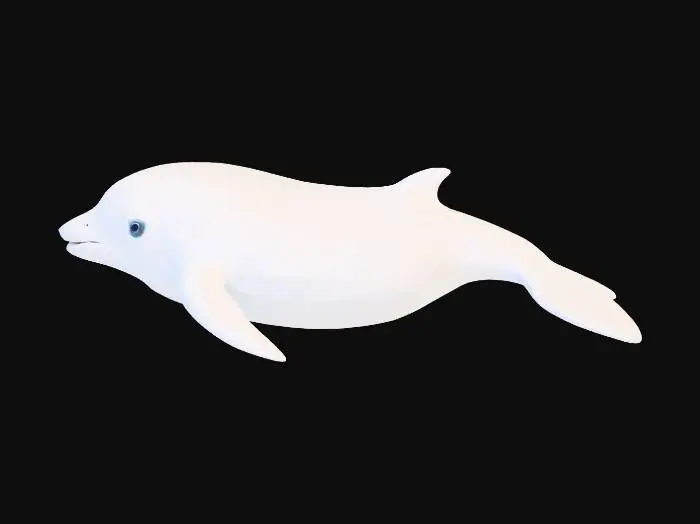 3D model for 白鲸
