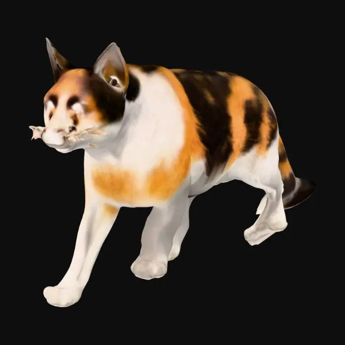 3D model for Calico Stroll