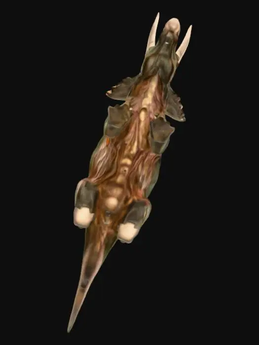 3D model for Triceratops Render
